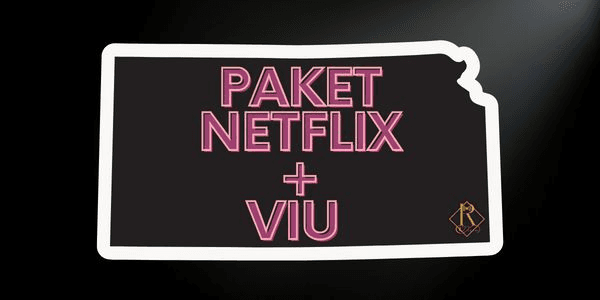 Gambar Product Paket Drakor 1 (Nflix & Viu)