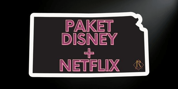 Gambar Product Paket Nonton (Disney+ & Nflix)