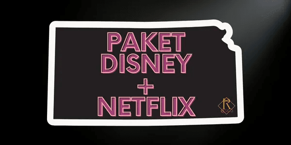 Paket Nonton (Disney+ & Nflix)