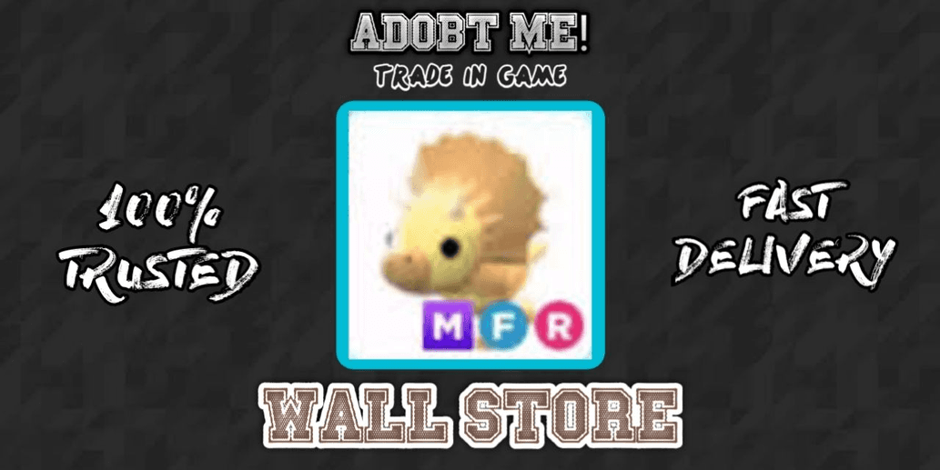 Product Showcase