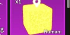 Gambar Product Human: Buddha (Beast)