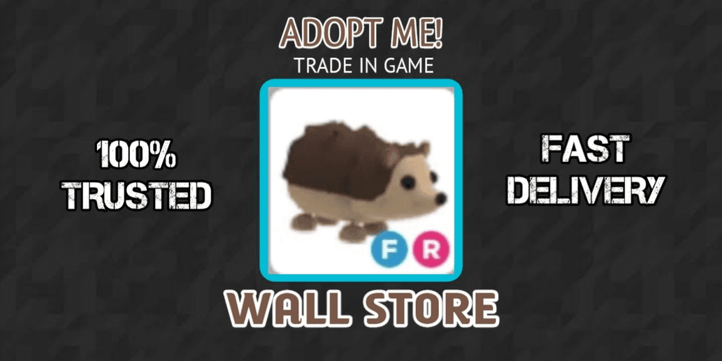 Product Showcase