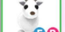 product-image-0