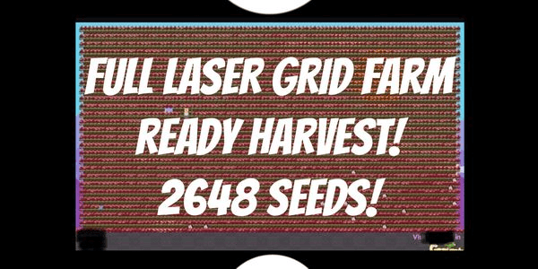 Gambar Product Full Laser Grid Farm (Ready Harvest)