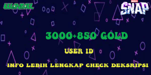 3000 Gold + 850 Gold Bonus