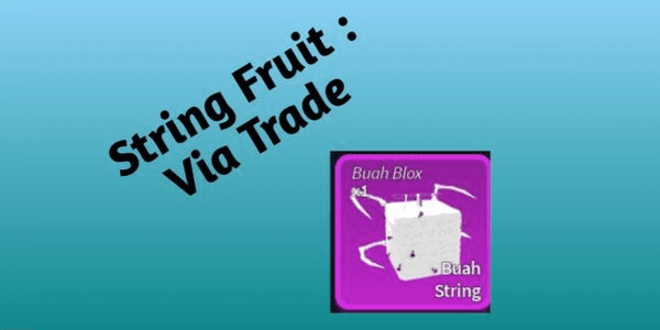 Gambar Product String (Natural)