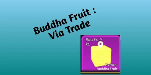 Gambar Product Human: Buddha (Beast)