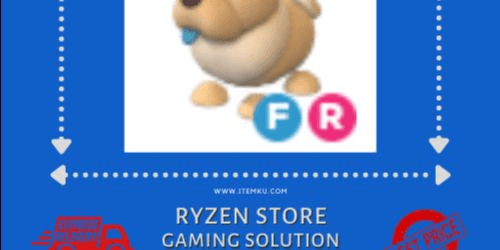 Product Showcase