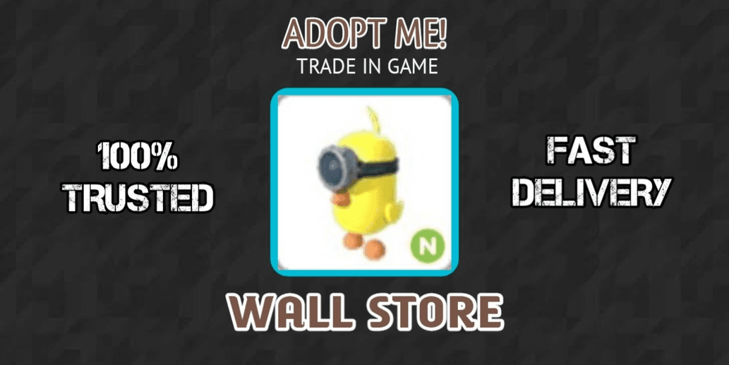 Product Showcase