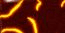 Gambar Product Magma (Elemental)