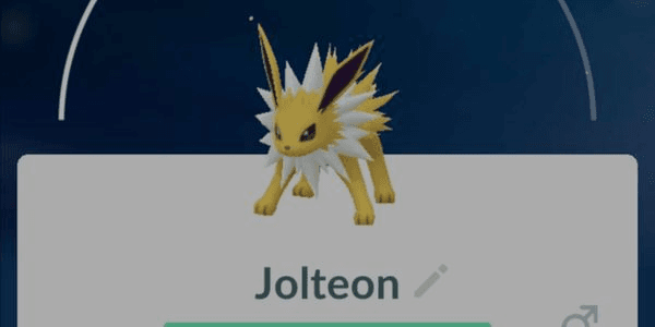 Gambar Product Jolteon