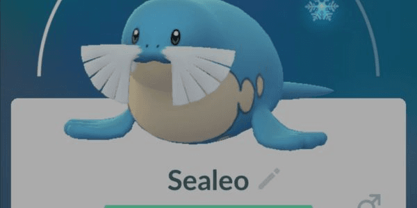 Gambar Product Sealeo