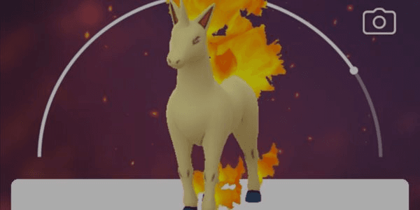 Gambar Product Rapidash