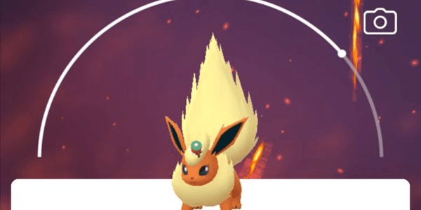Gambar Product Flareon