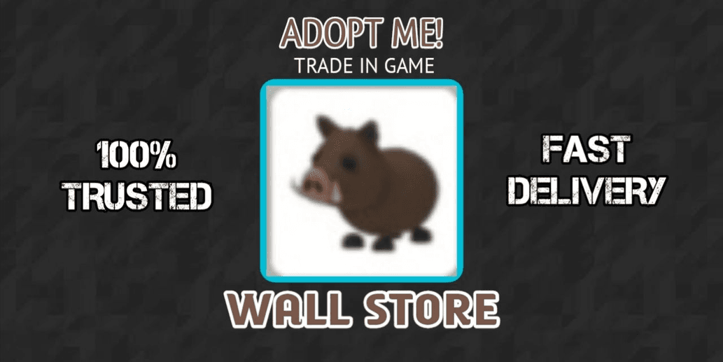 Product Showcase