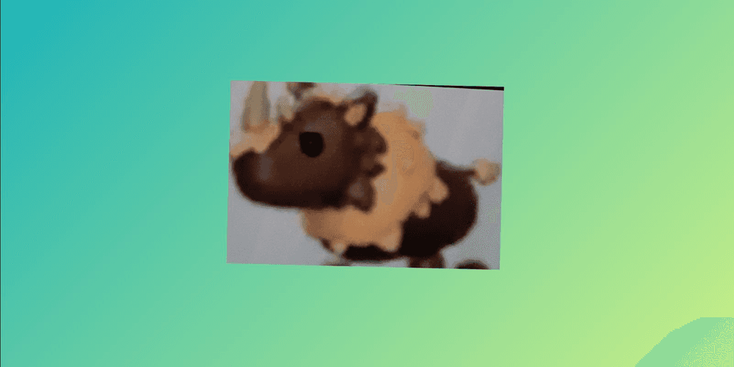 Product Showcase