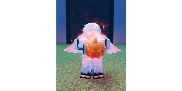 Product Showcase