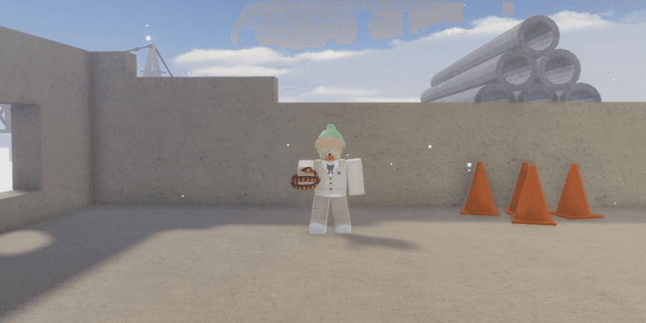 Product Showcase