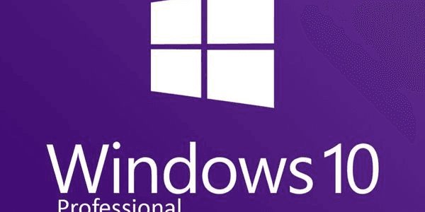 Gambar Product Windows 10 Professional
