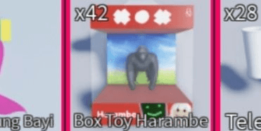 Product Showcase