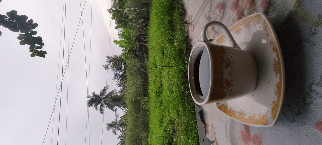 avatar Murahmeriahmuntah