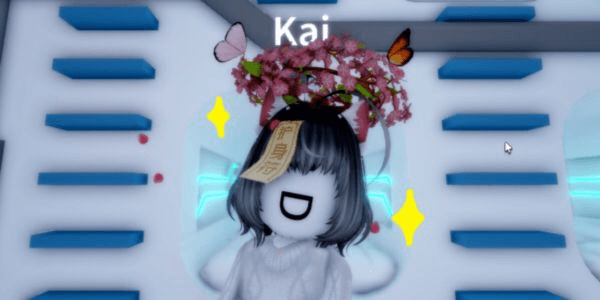 Product Showcase