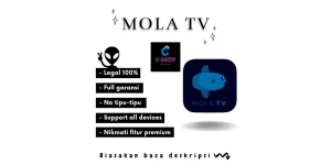 Premium 1 Perangkat (mobile & desktop)