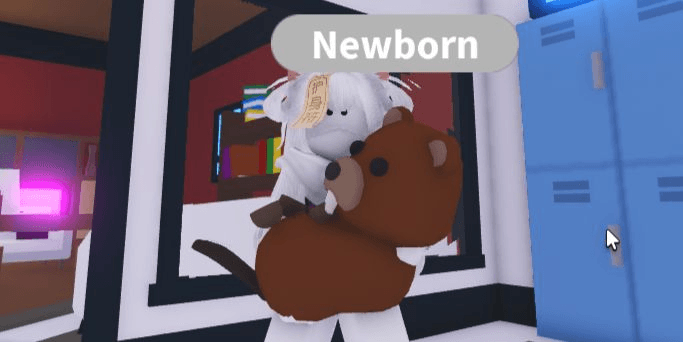 Product Showcase