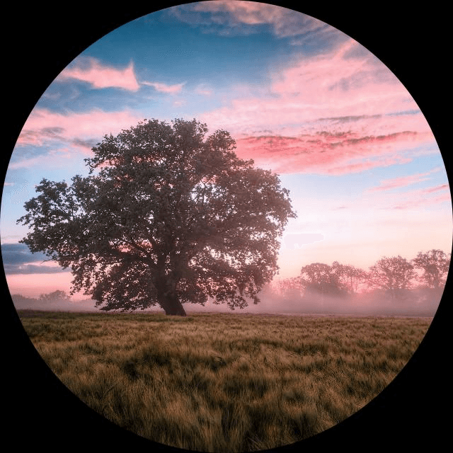 Beli Produk di Moriarty shop Terlengkap September 2023 itemku