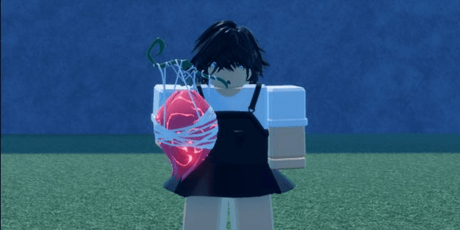 Product Showcase