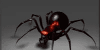Widow of the Undermount Gloom (Broodmother Set Aghanim's 2021 Collector's Cache)