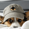 seller-image