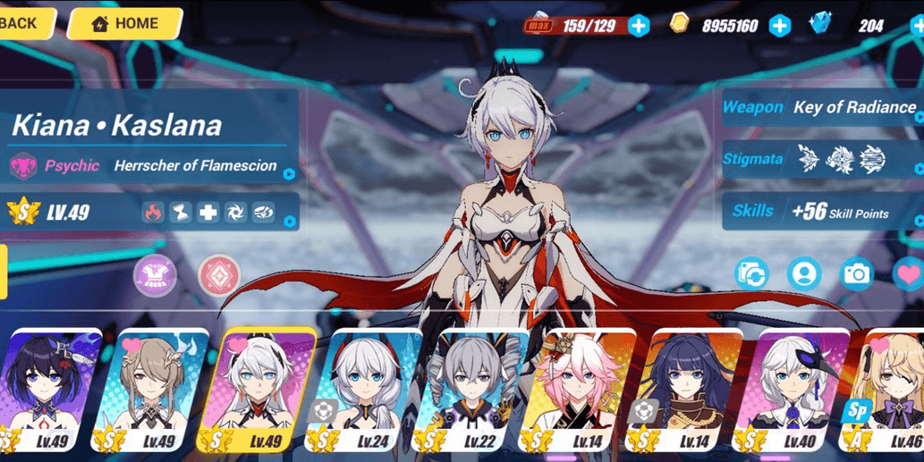 Product Showcase