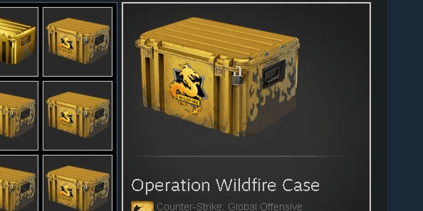 Gambar Product Operation Wildfire Case (Base Grade Container)