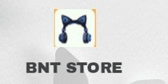 Product Showcase