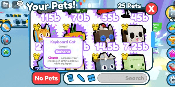 PET EXCLUSIVE KEYBOARD CAT
