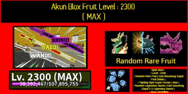 Product Showcase