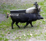 seller-image