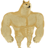 storeAvatar