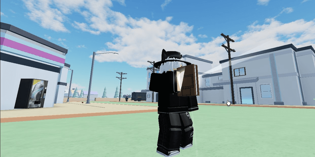 Product Showcase