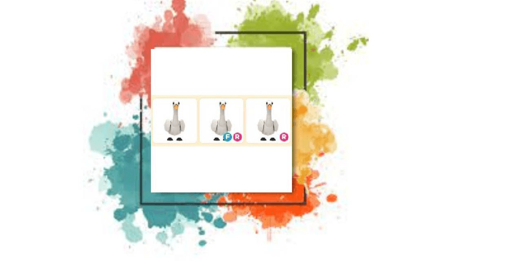 Product Showcase