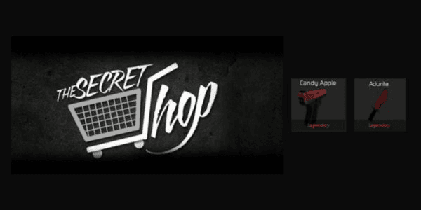 Product Showcase