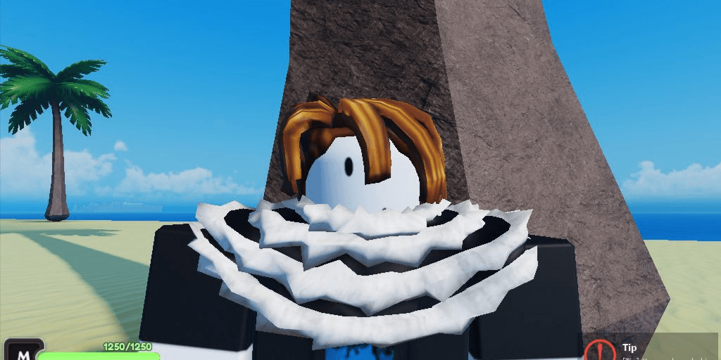 Product Showcase