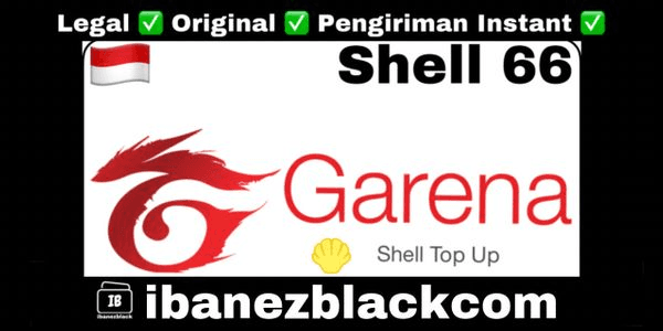 Gambar Product 66 Shells ID