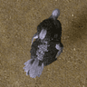 seller-image