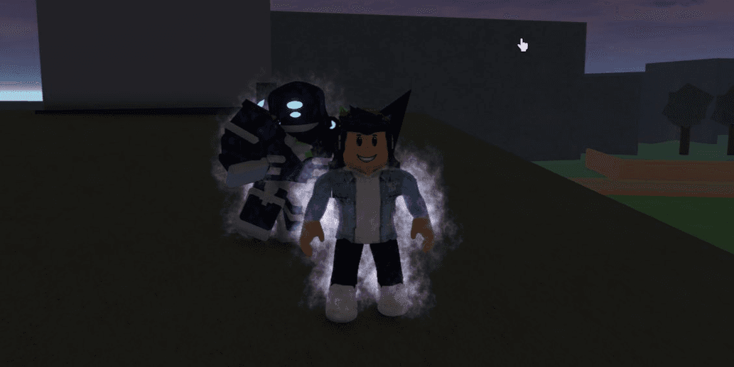 Product Showcase
