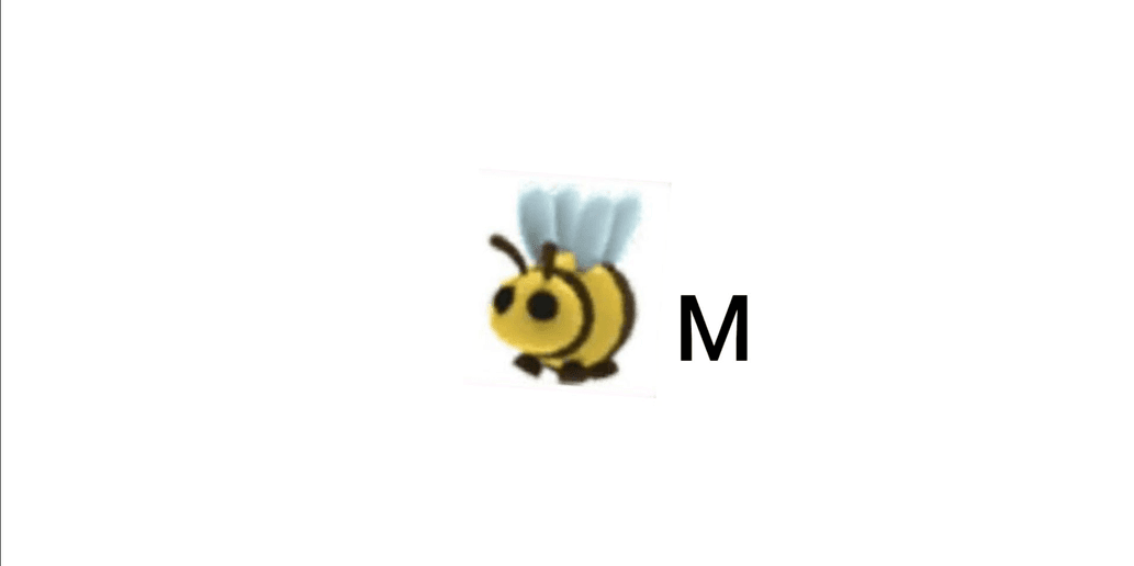 product-image-0