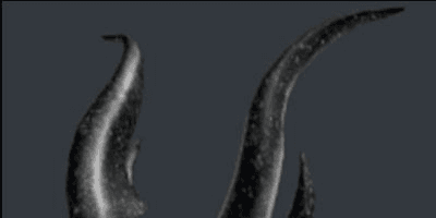product-image-0