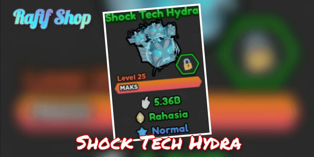 Product Showcase
