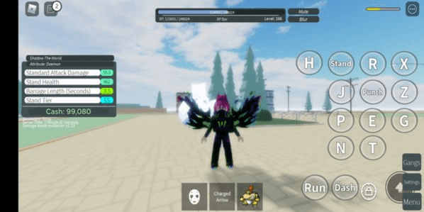 Product Showcase